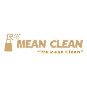 Photo of Mean Clean LLC