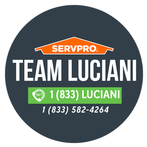 Photo of Servpro Team Luciani