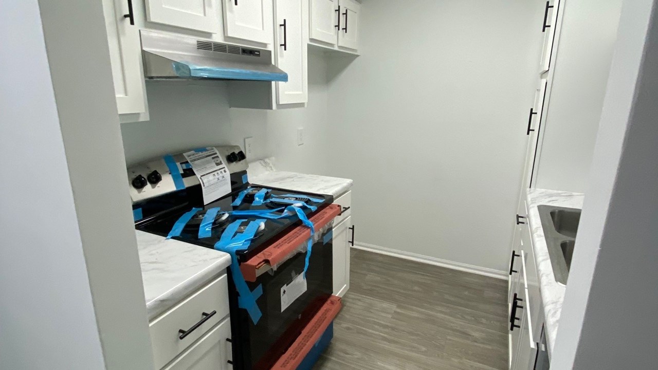 Kitchen Apt Renovation