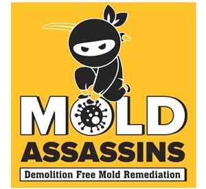 Photo of The Mold Assassins LLC