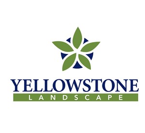 Photo of Yellowstone Landscape
