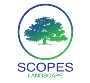 Photo of Scopes Landscape