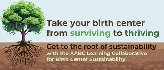 FINAL OPPORTUNITY: Learning Collaborative for Birth Center Sustainability