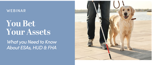 You Bet Your Assets - Fair Housing Webinar