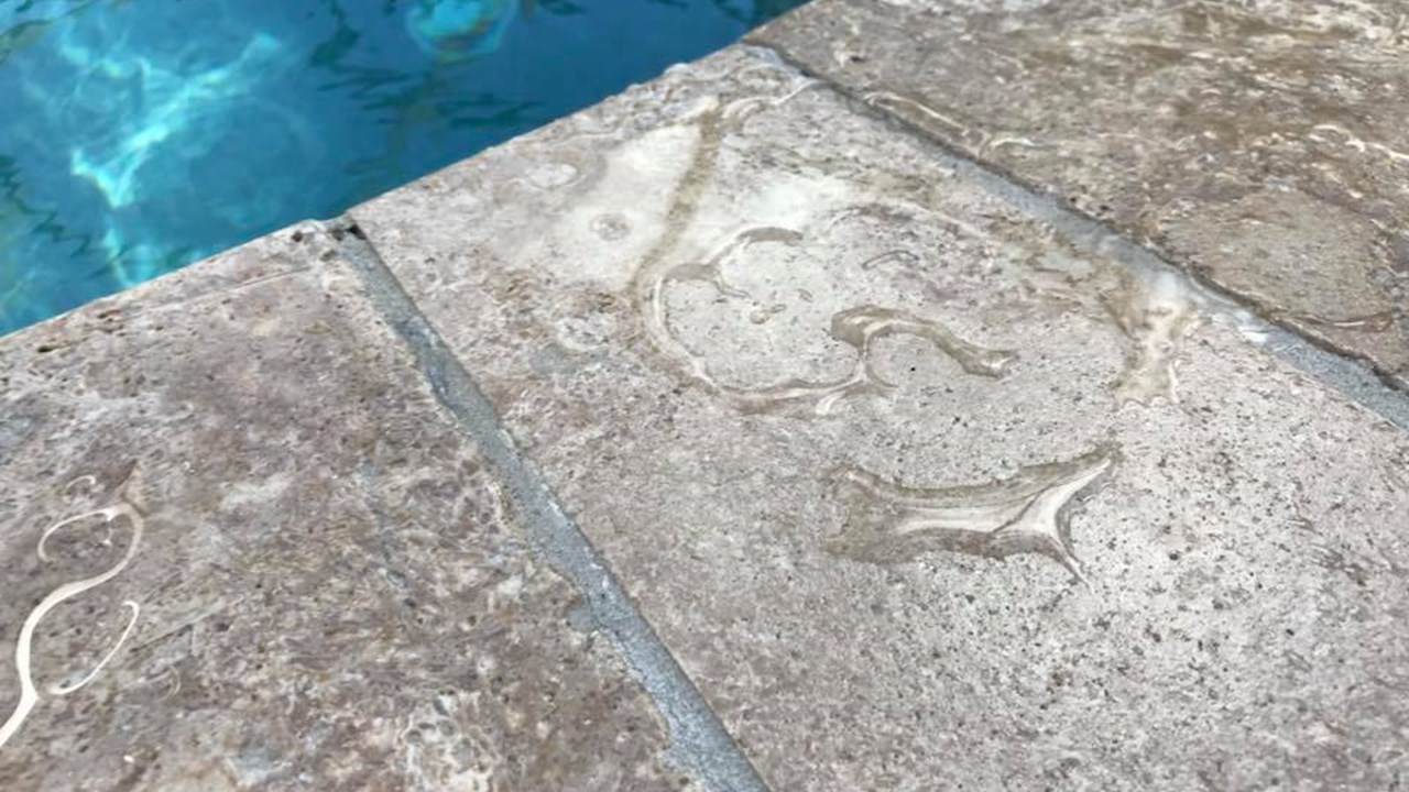 Stone Sesaling