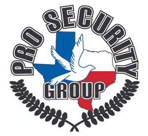 Pro Security Group