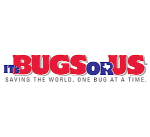 Photo of It's Bugs Or Us