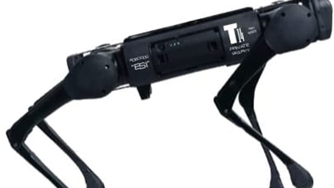 Robotic Patrol Service