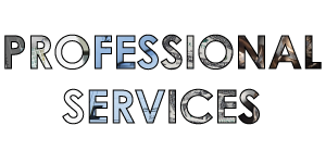 Professional Services Directory Icon