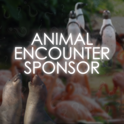 Installation & Appreciation Dinner - Animal Encounter Sponsor