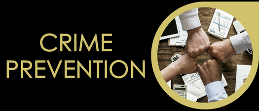 Crime Prevention - Webinar