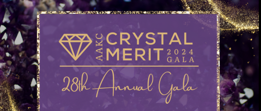 28th Annual Crystal Merit Gala Sponsorships