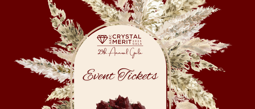 29th Annual Crystal Merit Awards Gala
