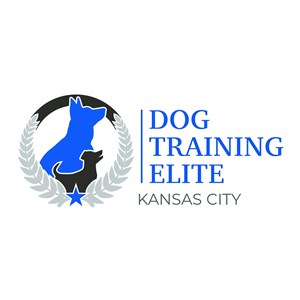 Photo of Klingsick Inc DBA Dog Training Elite Kansas City