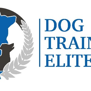 Photo of Klingsick Inc DBA Dog Training Elite Kansas City