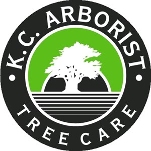 Photo of KC Arborist Tree Care