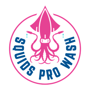 Photo of Squids Pro Wash