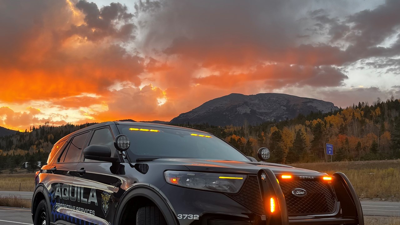 Providing Security Services through Technology