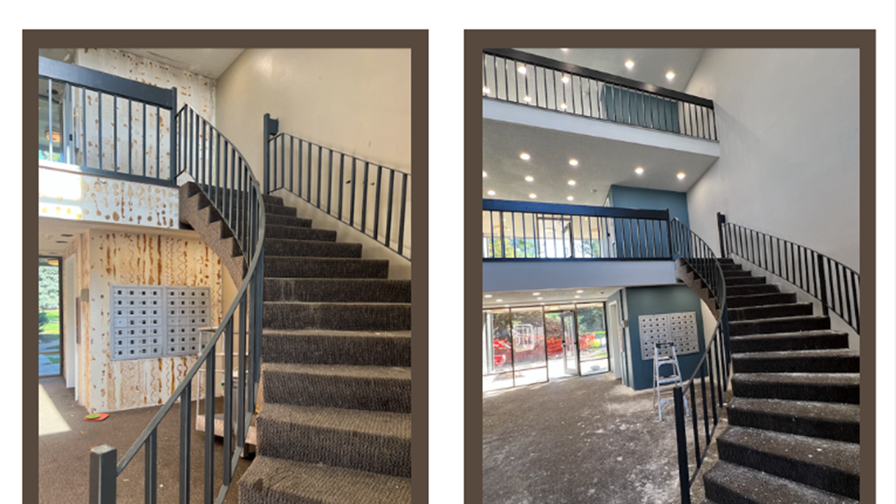 Building Apartments Drywall repair and Painting