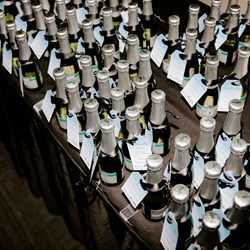 Stars Champagne Toast