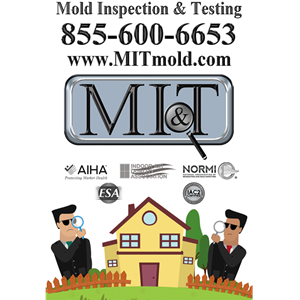 Photo of Mold Inspection & Testing