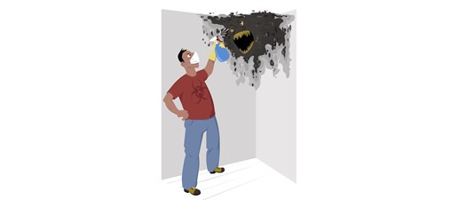 Mold Remediation