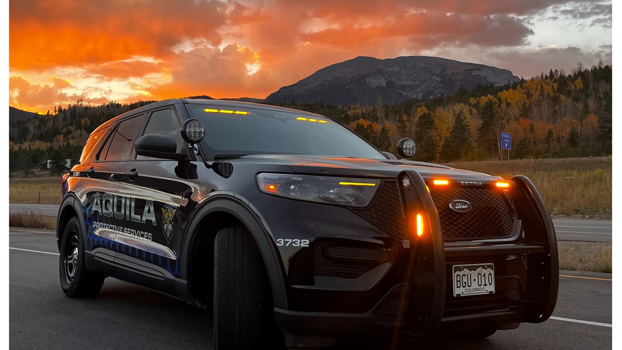 Patrol Services through Technology