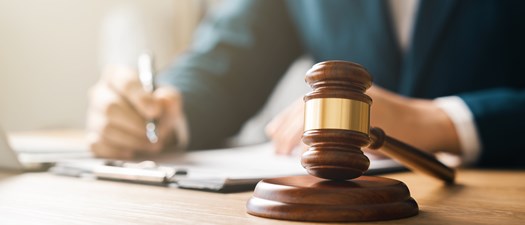2025 New Laws + New Issues = New Challenges 