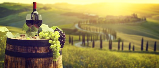 2025 Wine Tasting