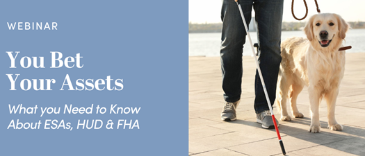Webinar: You Bet Your Assets!