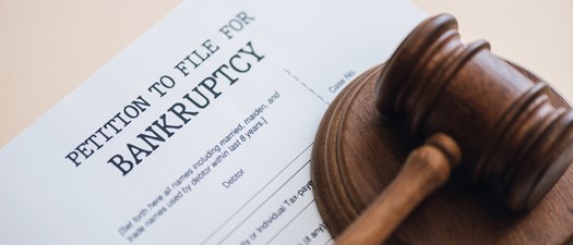 Legal Webinar: Understanding Bankruptcy from Filing to Judgement 