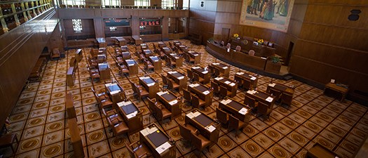 Ducks Engage: Advocacy and Impact