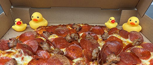 Ducks Engage: Careers, Advocacy, and Impact