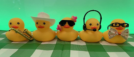 SAA Root to Route: Alumni Reflections on Career and Change