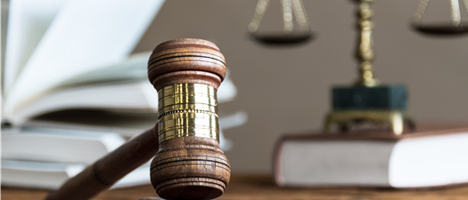 Court Isn’t a Scary Place (2026)