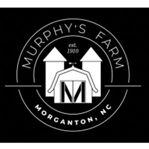 Photo of Murphy's Farm Apartments