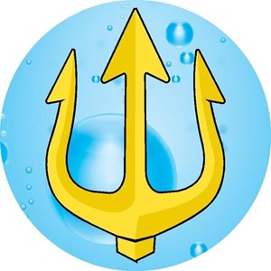 Trident Pro Services