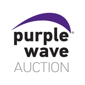 Photo of Purple Wave Auction