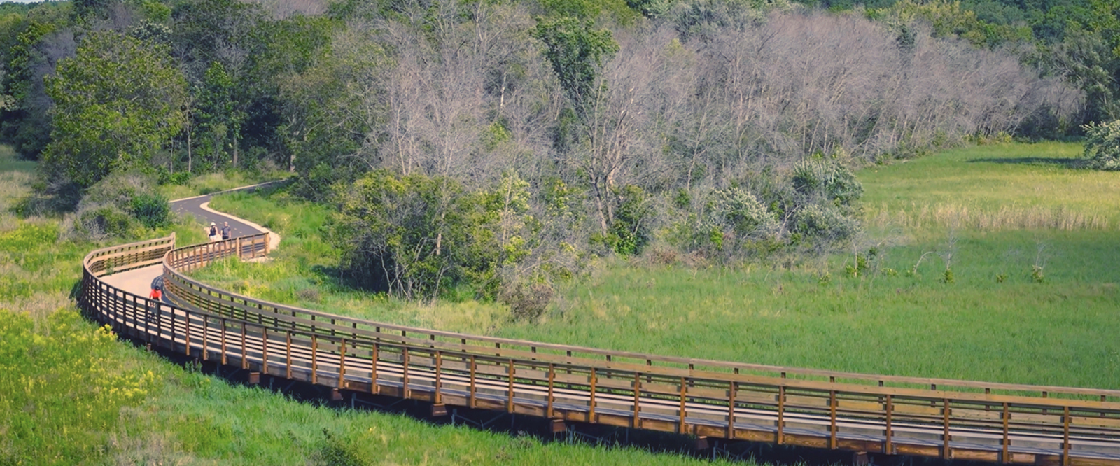 The Lower Yahara River Trail Phase 2 and Fish Camp County Park Improvements project features a boardwalk trail through wetlands.