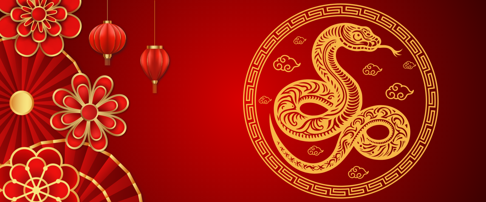 The year of the snake.