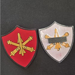 ADA Badge w magnet