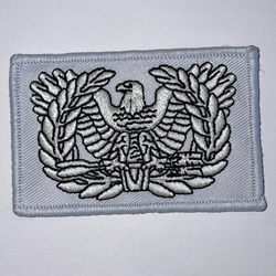 Warrant Officer Patch - White