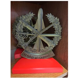 3D Master Gunner Display