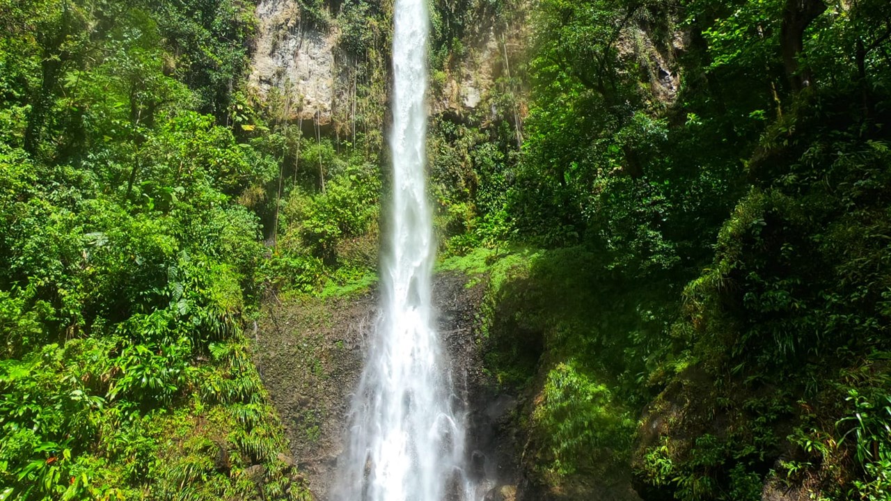 The Majestic Middleham Falls 