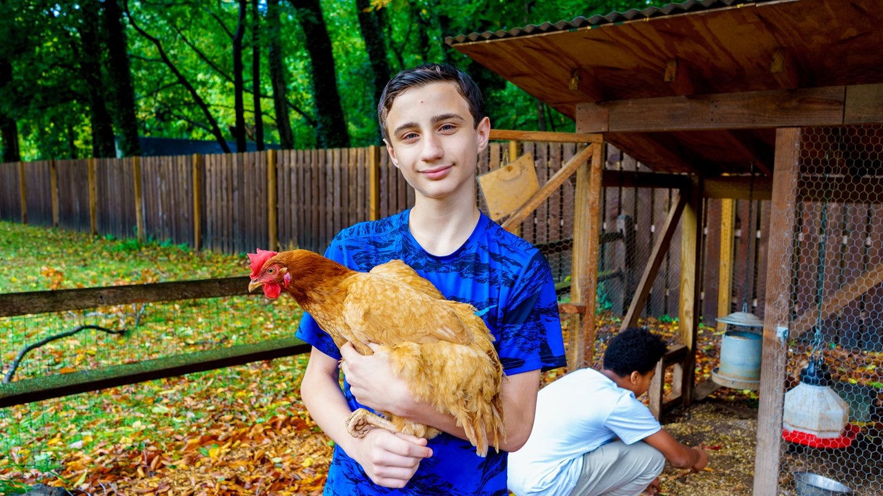 Caring for Chickens at The Crefeld School