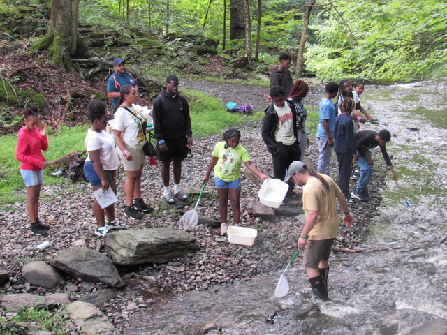 summer bridge participants