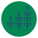 icon of plant growing