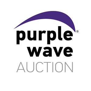 Purple Wave Auction