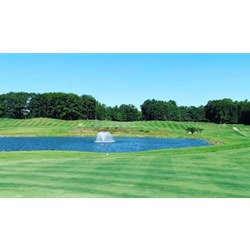 Spring Swing - Gold Sponsorship