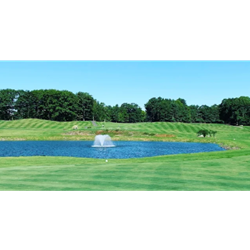 Spring Swing - Hole Sponsorship